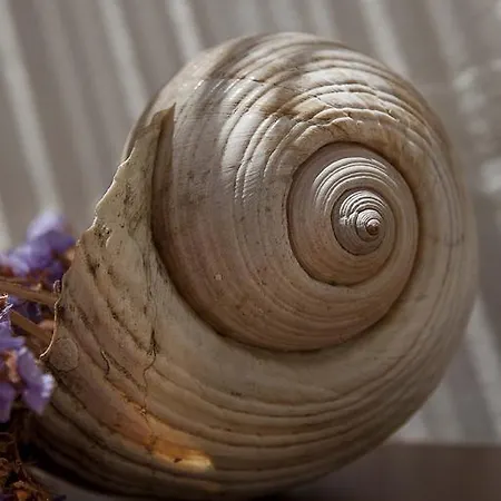 Moshinos Ayvalı