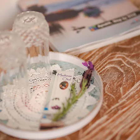 מלון Moshinos Ayvalı