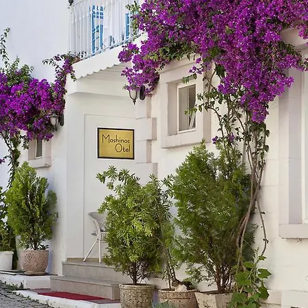 מלון Moshinos Ayvalı