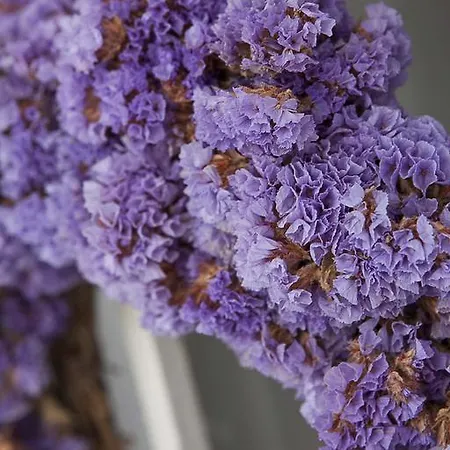 Moshinos מלון Ayvalı