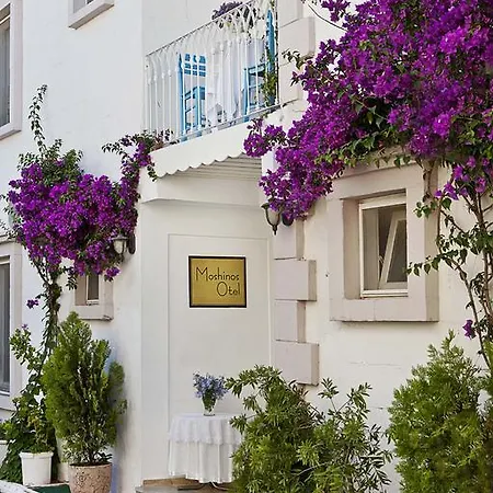 Moshinos מלון Ayvalı