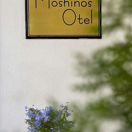 Moshinos Отель