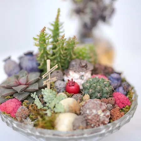 מלון Moshinos Ayvalı