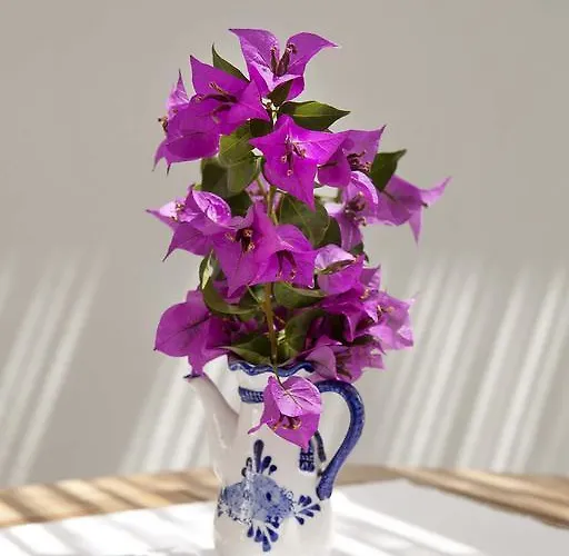 호텔 Moshinos Ayvalı